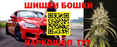 молекула духа Партизанск