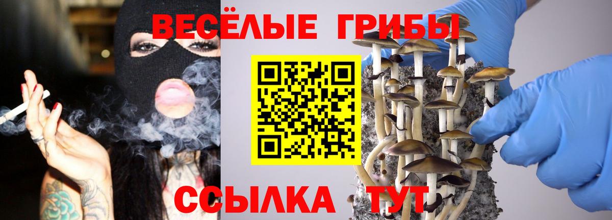 где найти   Псилоцибиновые грибы Psilocybine cubensis  Вход с VPN  Строитель  Галлюциногенные грибы MAGIC MUSHROOMS 